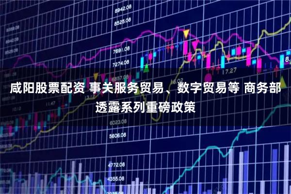 咸阳股票配资 事关服务贸易、数字贸易等 商务部透露系列重磅政策