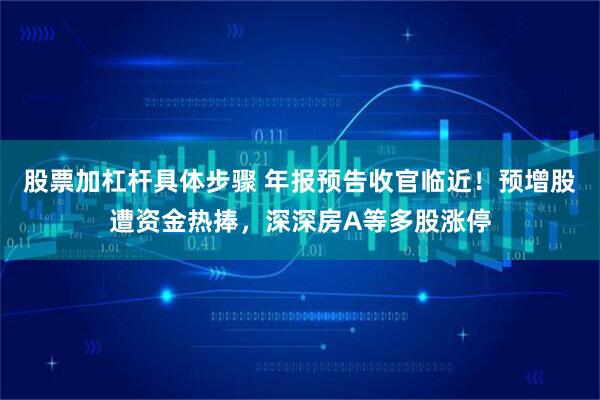 股票加杠杆具体步骤 年报预告收官临近！预增股遭资金热捧，深深房A等多股涨停