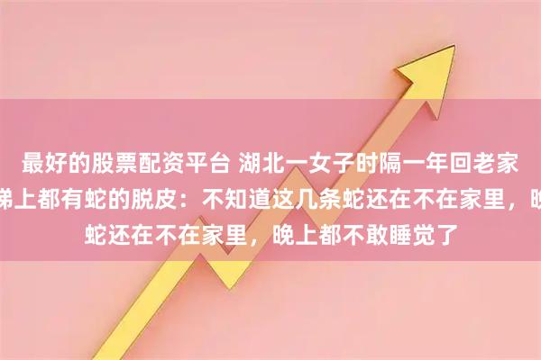 最好的股票配资平台 湖北一女子时隔一年回老家，发现走廊和楼梯上都有蛇的脱皮：不知道这几条蛇还在不在家里，晚上都不敢睡觉了