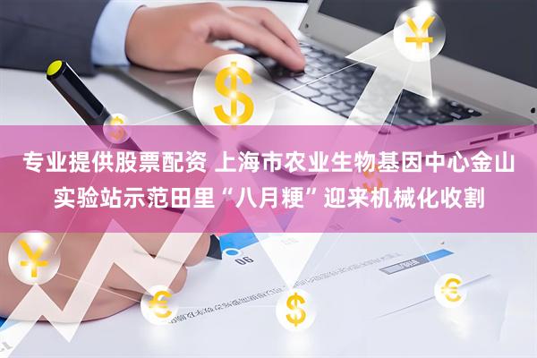 专业提供股票配资 上海市农业生物基因中心金山实验站示范田里“八月粳”迎来机械化收割